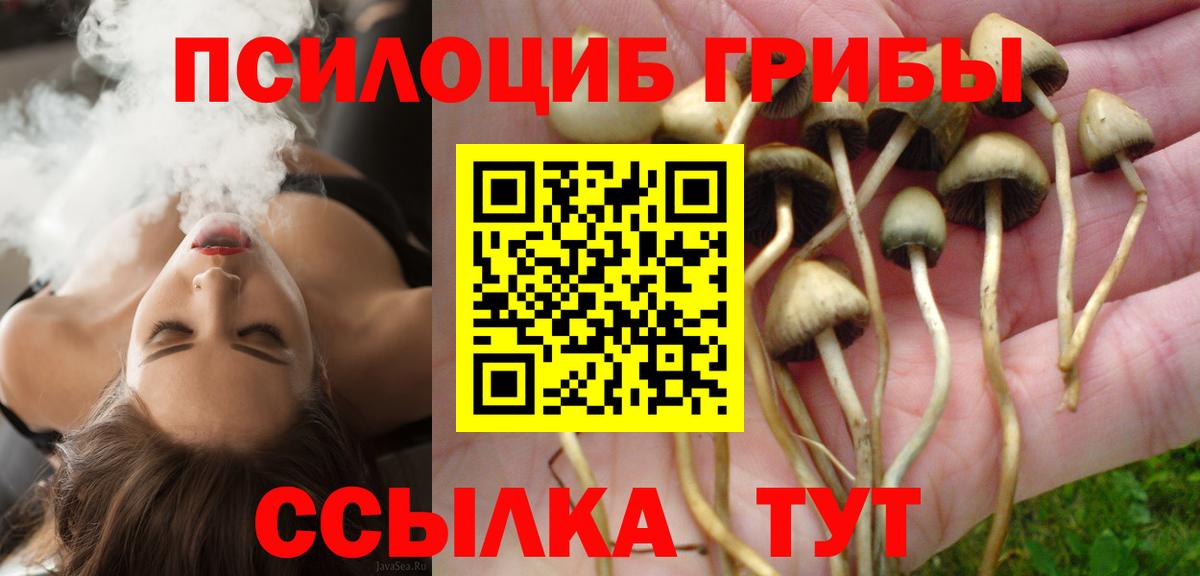 Псилоцибиновые грибы Psilocybine cubensis Коряжма