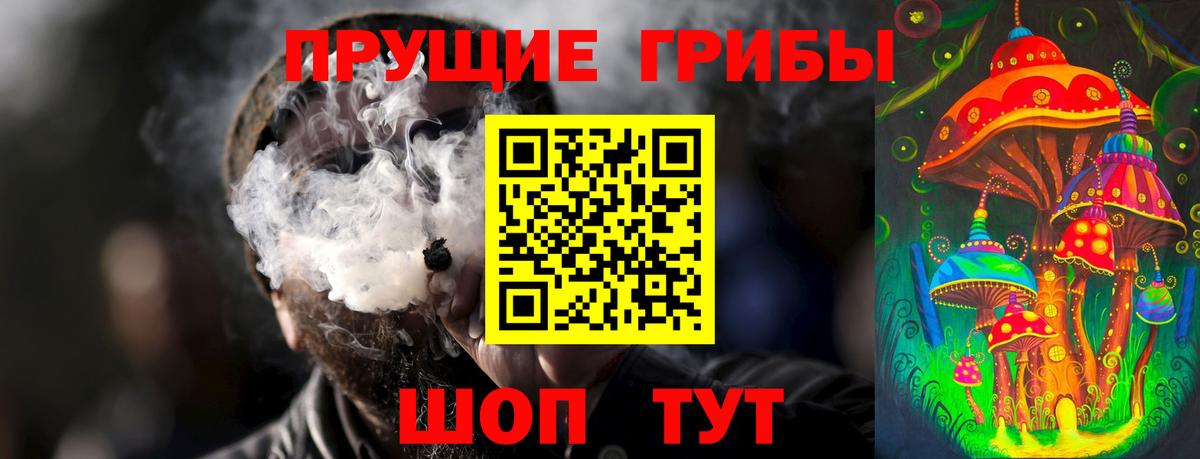 Коряжма  Галлюциногенные грибы мухоморы  Вход с VPN 